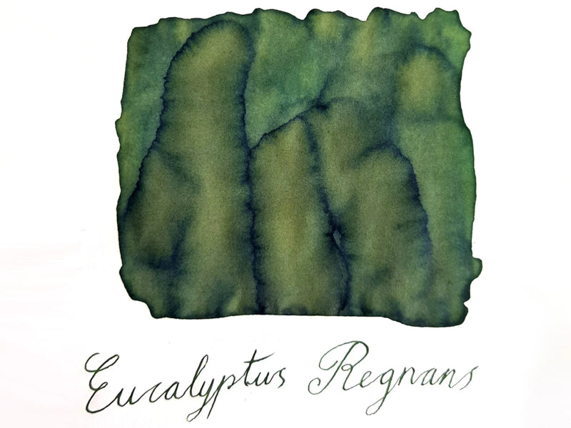 Van Dieman's Wilderness Fountain Pen Ink - Eucalyptus Regnans
